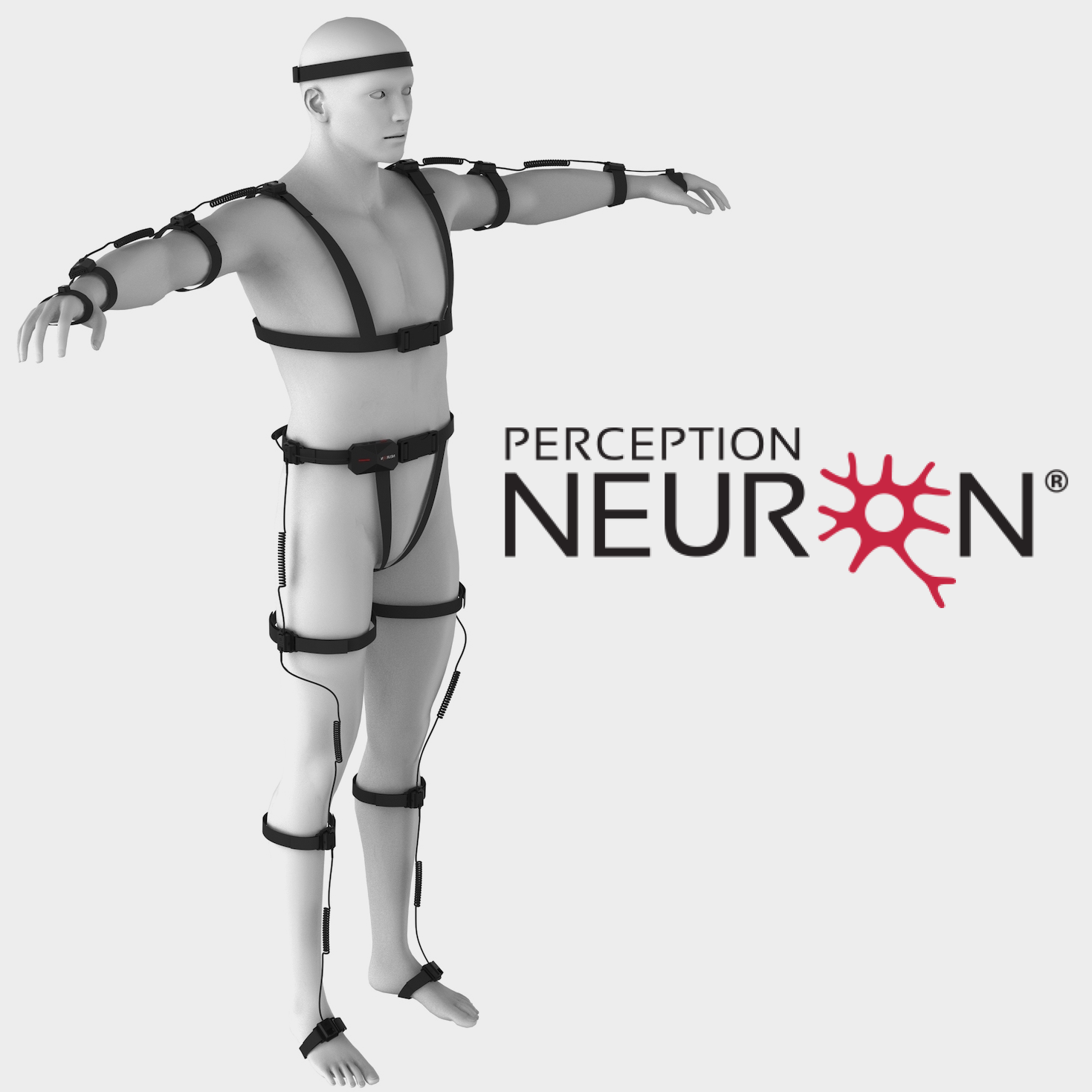 Perception Neuron